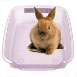 Trixie KUWETA NUNO 28x9x36 cm 40396 KOLOR JASNY RÓŻ/FIOLET Trixie KUWETA NUNO 28x9x36 cm 40396 KOLOR JASNY RÓŻ/FIOLET