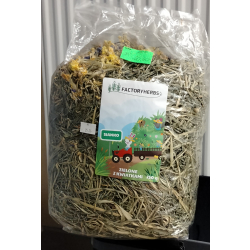 - 20% Factoryherbs SIANKO Z KWIATAMI XL 750G (Siano) pęknięte opakowanie